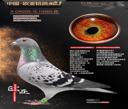 詹森冬日男孩直孙768X麦克斯695直孙女167