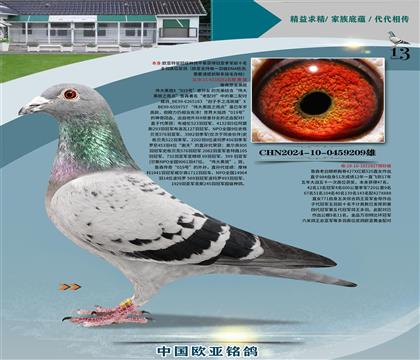 詹森原舍伟大黑斑251X827