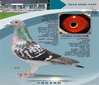 利奥原舍奥林匹克03双重近亲