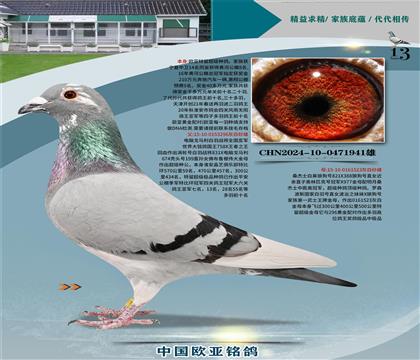 电脑296X桑杰士狼狗号523金母