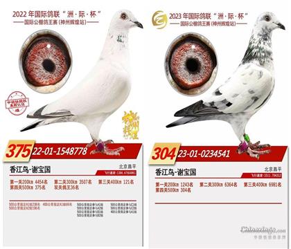 家族超级发挥 如图