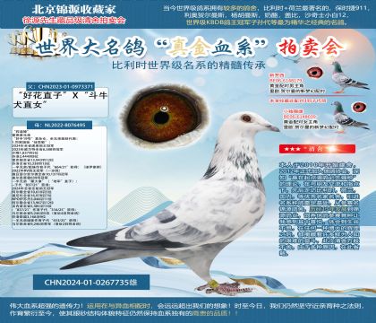 ���غû�24-0267735��