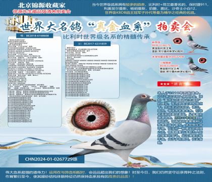 ˫�ػ��ض�24-0267729��