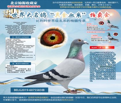 ������.����˹ԭ�ᡰ����ŷȫ�ֵܣ����Ϻ�ֱ���