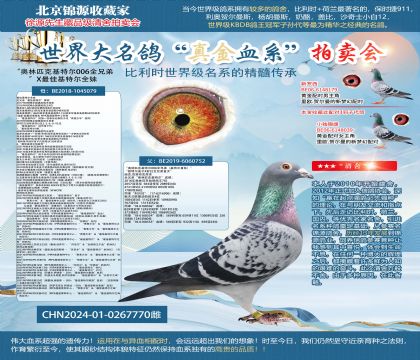 ������ƥ�˻��ض�006ȫ�ֵܡ�X��ѻ��ض�ȫ��