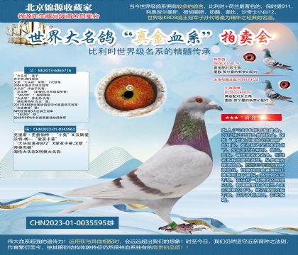 ��ͷ�ʡ�ֱ��23-0035595��