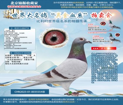 ��ͷ��ֱ��23-0035554��