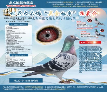 С��12ԭ������xС��12��ֱŮ