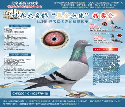 ����������³��299ֱŮ24-0267794��