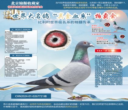 ����������³��299ֱŮ24-0267721��