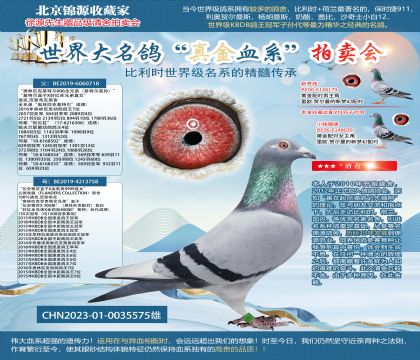 ����-���ض�006ȫ�ֵ�X��ʯ��23-0035575��