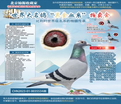 ����-���ض�006ȫ�ֵ�X��ʯ��23-0035534��