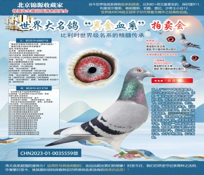 ͬ��560���ض�006ȫ�ֵ�X��ʯ��23-0035559��