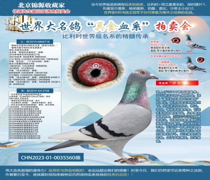 ͬ��559���ض�006ȫ�ֵ�X��ʯ��23-0035560��