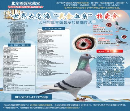 �������ղ�ԭ��-��ʯ��ֱŮ