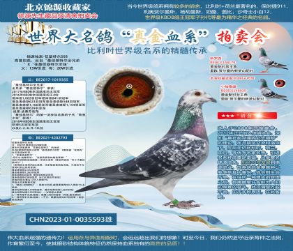 ����ѻ��ض�23-0035593��