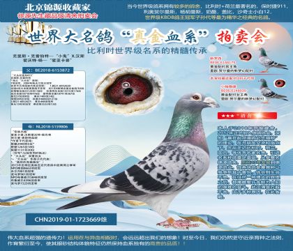 ��ͷ��X����19-1723669��