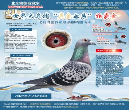 ��ͷ��X����22-0345962��