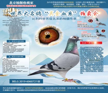 �Ͽ�.���ǲ���ԭ��-ӥ�ۻ��ض�ֱ��