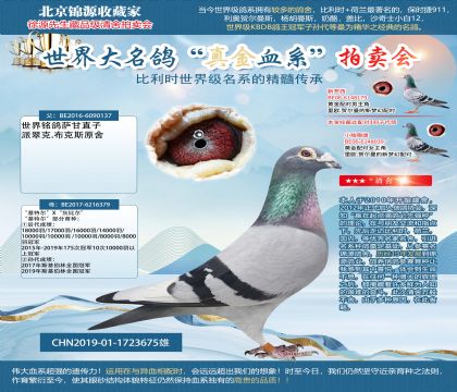 ����ֱ��19-1723675��