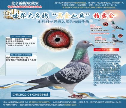 ����22-0345984��