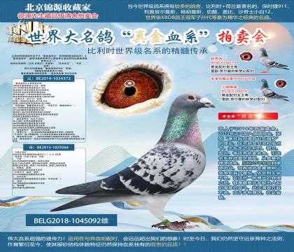 �ϻ�-������ԭ��- ������ѻ��ض�092