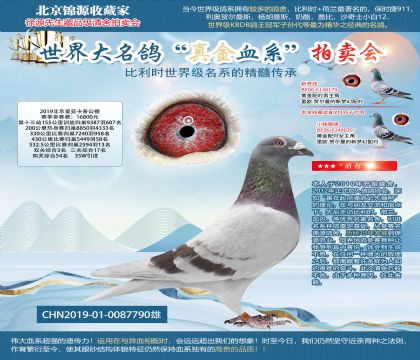 2019�������ǿ��չ����Ĺ��ۺ�54��