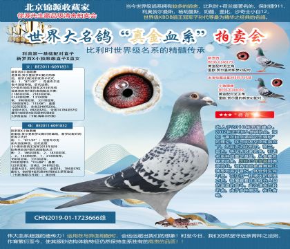 ���µ�һ�������ֱ��19-1723666��