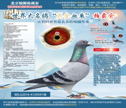 PIPAݼӢ��������-��ʱ��911֮��ƽ��