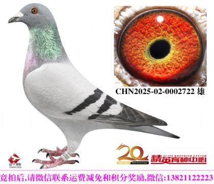 �����������롰098������ֱ��