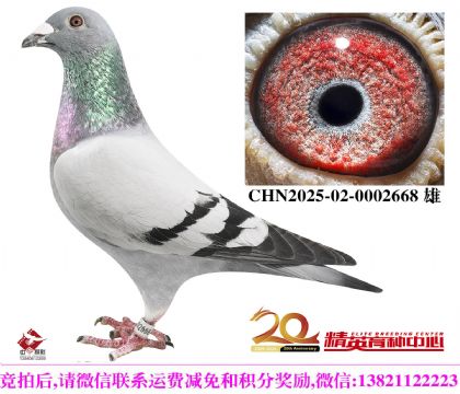 KBDB������������ֱ��