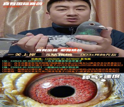 《一关上岸》003x所向无敌