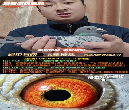 《稳中有快》新奥林匹克全妹孙女