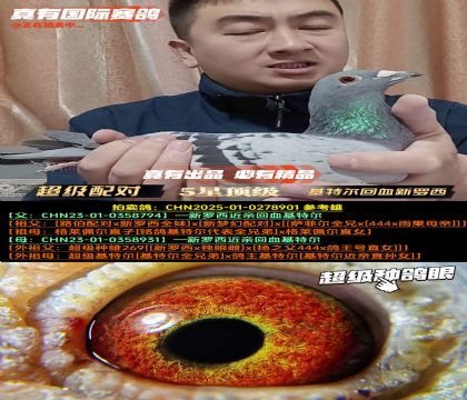 《超级配对》基特尔回血新罗西