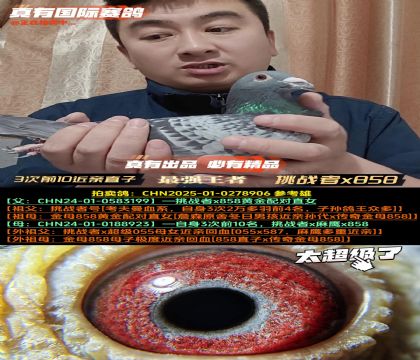 《3次前10近亲直子》挑战者x858双近亲