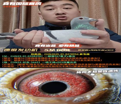 《速度发动机》黄金雌x所向无敌x003