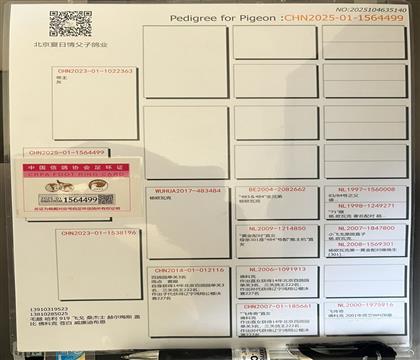 血统书随鸽发送
