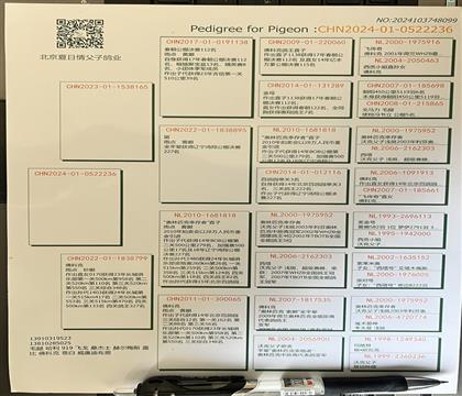 血统书随鸽发送