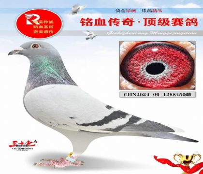 兰布瑞契、琳莎直孙女、特别好