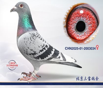 11.超霸396近血q.2003034