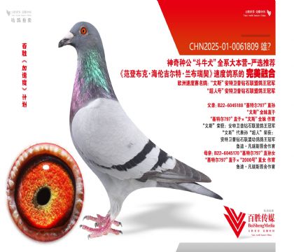 范登布克 基特尔 回血-0061809