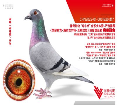 基特尔 利奥 平辈多羽获奖-0061820