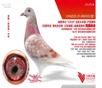 好红号 基特尔 回血-0061832