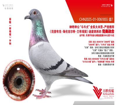 2000号 平辈113名-0061855