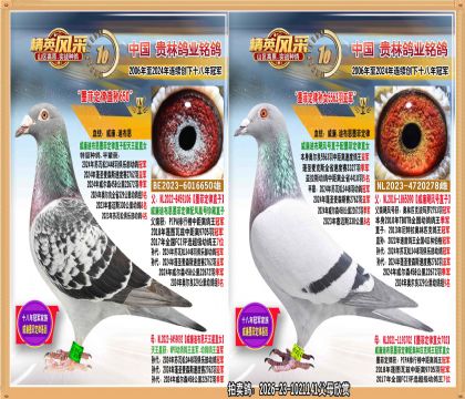 墨菲定律孙配墨菲定律孙女.5536羽亚军直子