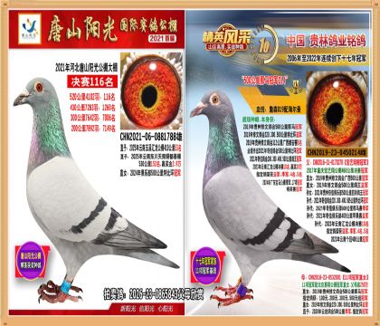 500公里冠军直女.平辈宝玛公棚季军.精英赛冠军