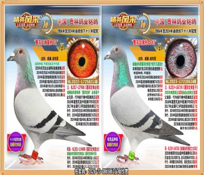 墨菲定律孙配墨菲定律孙女.3328羽5名直女