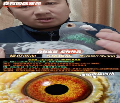 《超级回血》扬x所向无敌x老鸽王908