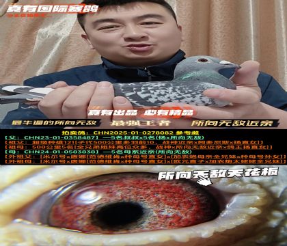 《所向无敌遗传天花板》所向无敌近亲