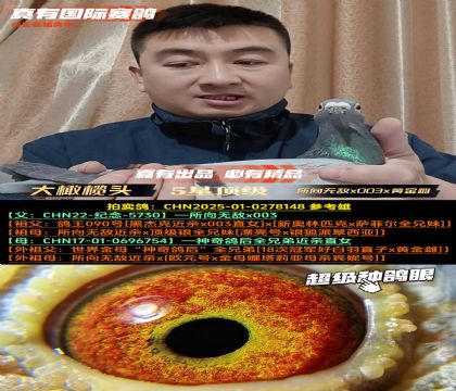 《大橄榄头》所向无敌x003x黄金雌